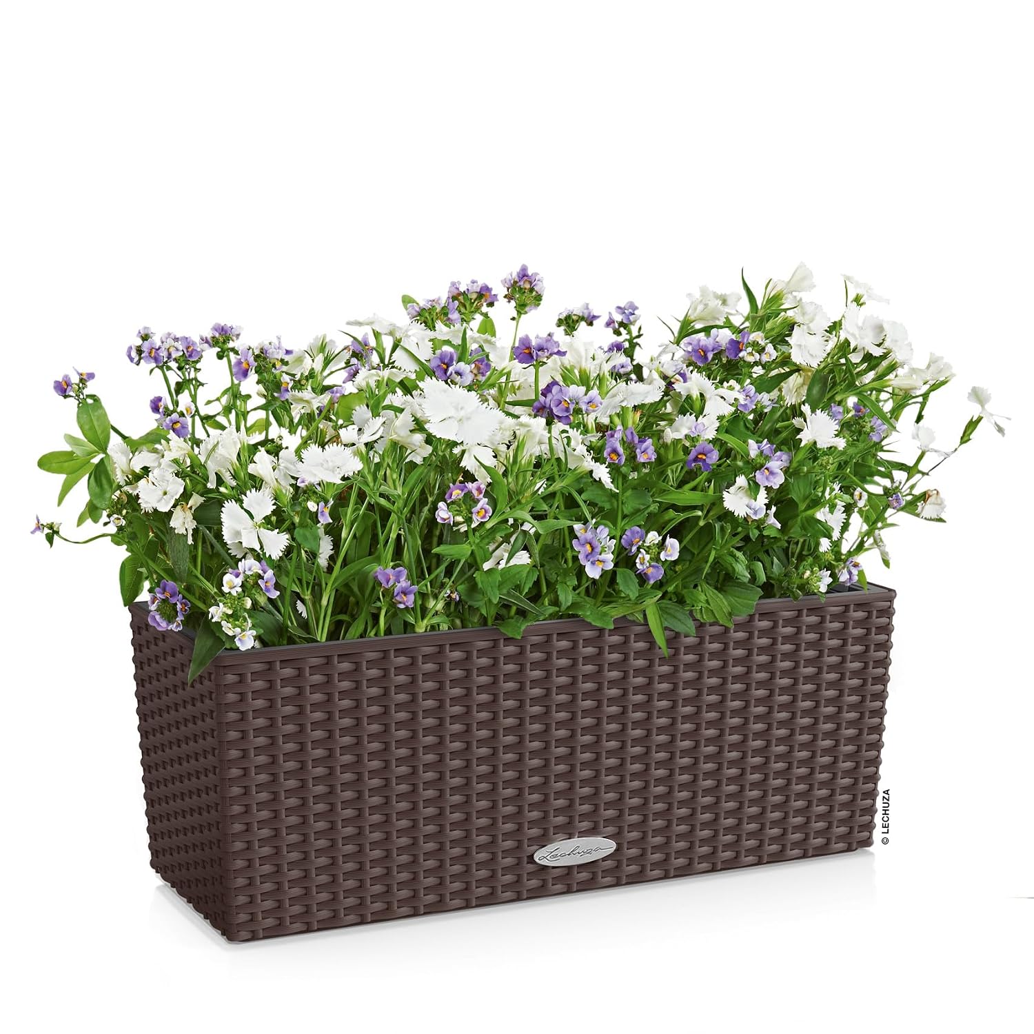 บัลโคเนรา คอทเทจ 50 มอคค่า กระ - Self-Watering Planter บทวิจารณ์และราคา
