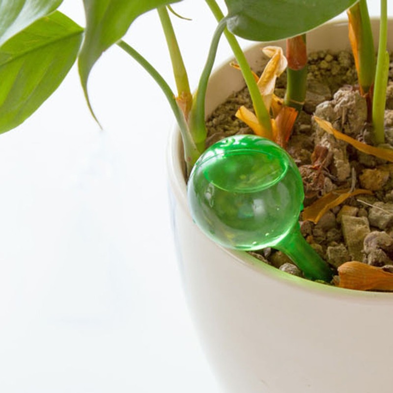 เครื่องจ่ายน้ำให้พืชอัตโนมัติอ - Automatic Plant Waterer บทวิจารณ์และราคา