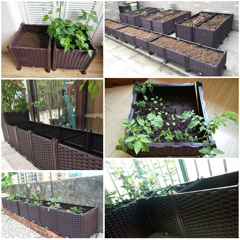กระถางปลูกแบบยกสูงพร้อมระบบให้ - Self-Watering Planter บทวิจารณ์และราคา