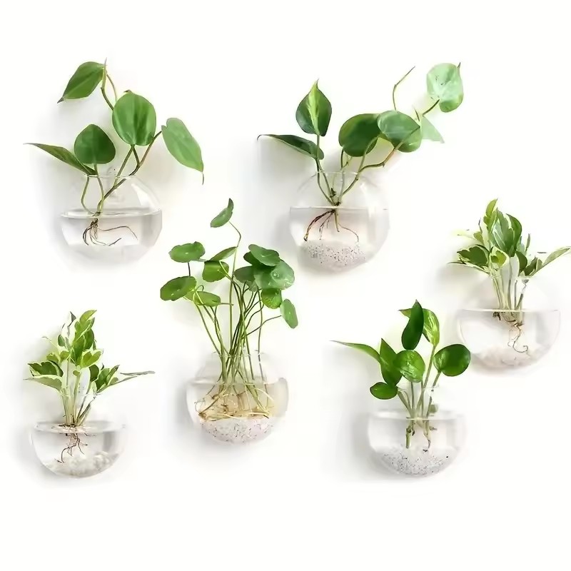 กระถางแก้วแขวนผนังแบบชุด 2/4/6 - Self-Watering Planter บทวิจารณ์และราคา