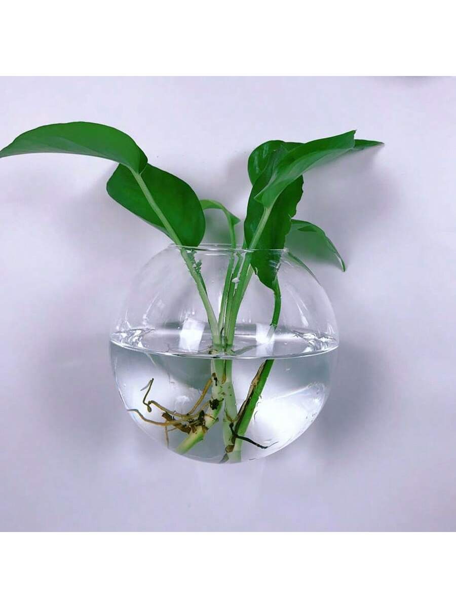 กระถางแก้วแขวนผนังแบบชุด 2/4/6 - Self-Watering Planter บทวิจารณ์และราคา