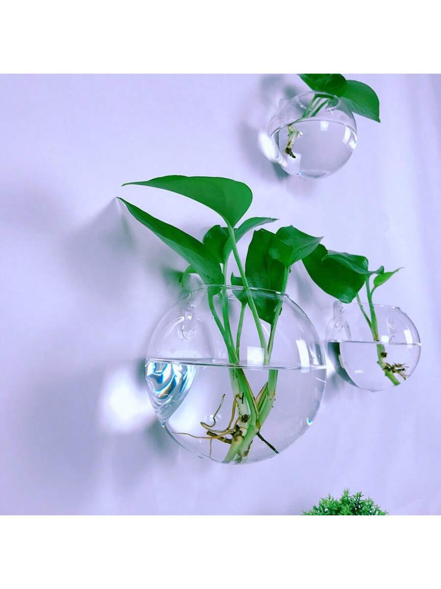 กระถางแก้วแขวนผนังแบบชุด 2/4/6 - Self-Watering Planter บทวิจารณ์และราคา