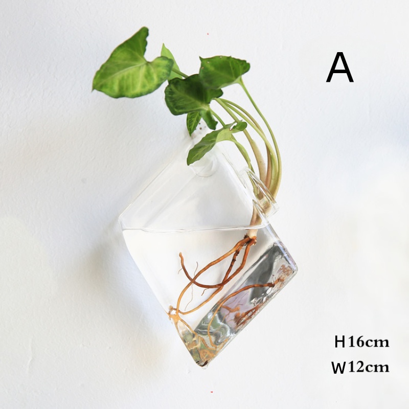 กระถางต้นไม้แก้วแขวนผนัง - กระ - Self-Watering Planter บทวิจารณ์และราคา