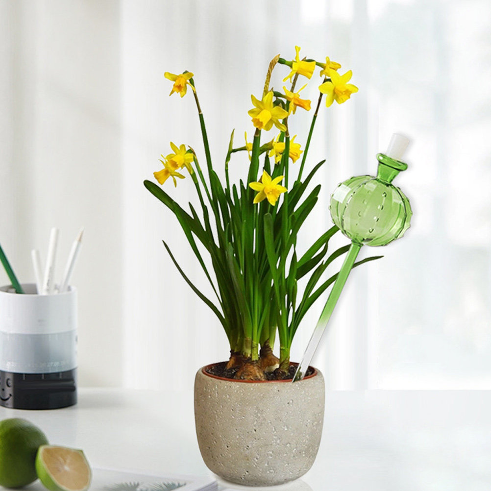 กระถางรดน้ำต้นไม้อัตโนมัติสำหร - Automatic Plant Waterer บทวิจารณ์และราคา