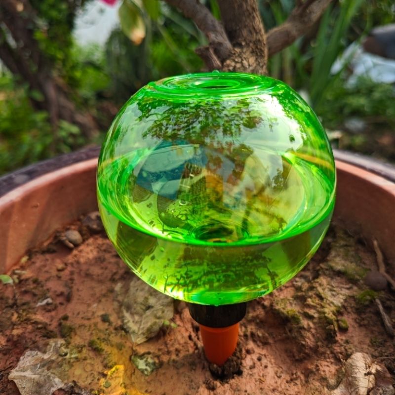 ลูกบอลรดน้ำต้นไม้ขนาดใหญ่ 3 ชิ - Self-Watering Planter บทวิจารณ์และราคา