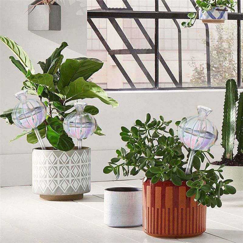 AA94-หลอดให้น้ำต้นไม้ ลูกบอลให - Self-Watering Planter บทวิจารณ์และราคา